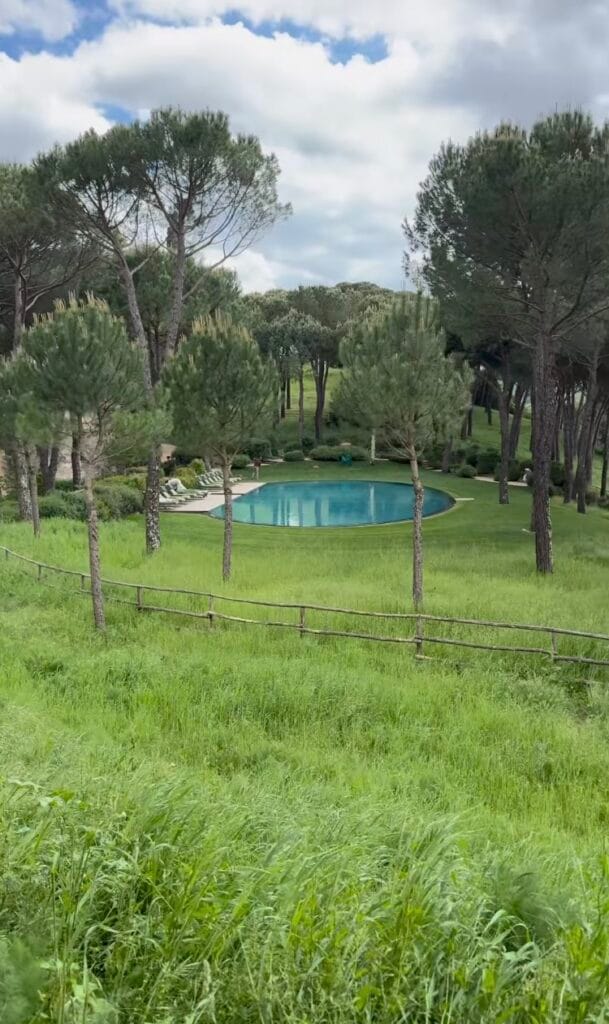 Oval pool surrounded by Italian stone pines and green lawns, lounge chairs along the edge, rustic wooden fence in the foreground