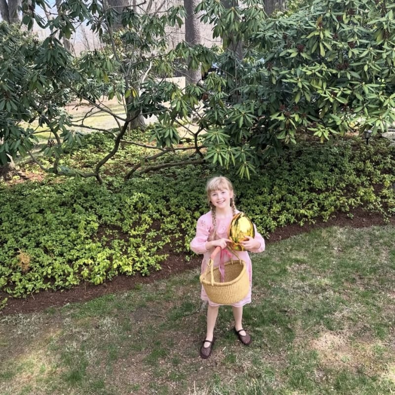 A young girl in a pink dress with braided hair, holding a wicker basket and a gold foil Easter egg, standing on a lawn in front of flowering shrubs