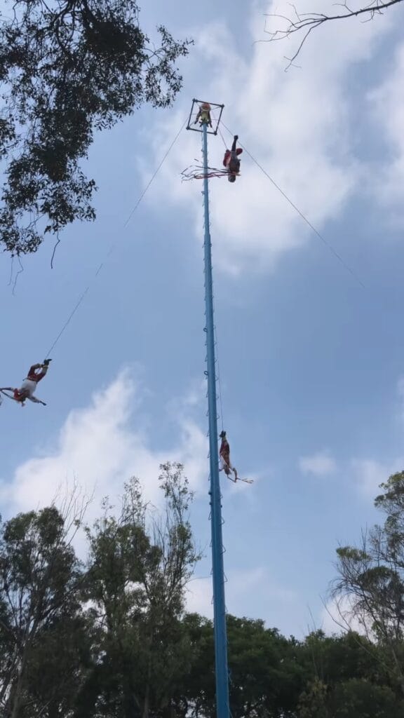 Voladores de Papantla performers in red and white costumes descending on ropes from a tall blue ceremonial pole in Mexico City, trees and sky in the background