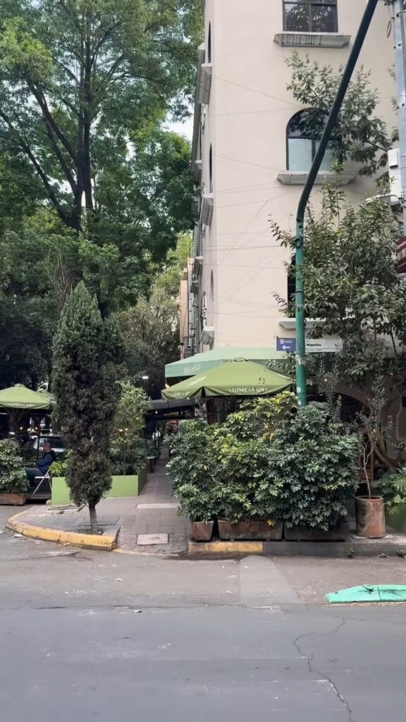 Condesa Gin bar exterior in Mexico City, with green patio umbrellas, potted trees lining the sidewalk, and a multi-story building