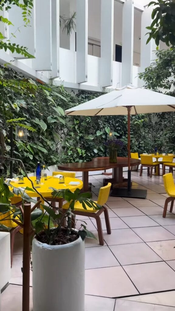 Outdoor restaurant patio in Mexico City with yellow tablecloths, yellow wicker chairs, and a lush green living wall