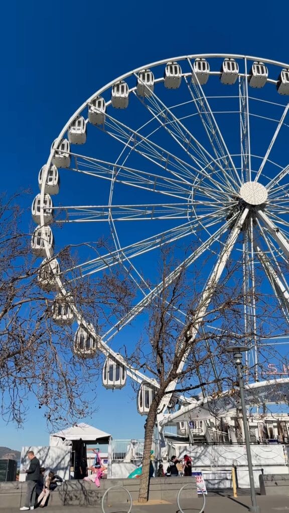 White Ferris wheel at the San Francisco waterfront against a clear blue sky, with bare trees and visitors at its base